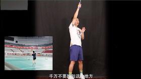 杨晨大神爆料王小羽视频,王小羽视频背后的惊人真相